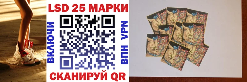 продажа наркотиков  Новопавловск  Наркотические марки 1,8мг 