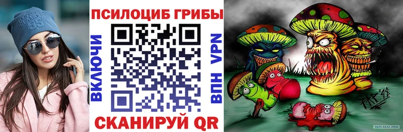 купить  сайты  Новопавловск  кракен зеркало  Псилоцибиновые грибы мухоморы 